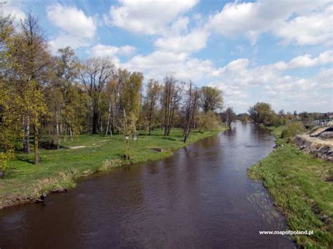 Pilica River in Przedborz - Photo 48/117