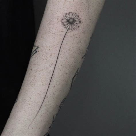 Wild rose daisy and buttercups tattoo - Tattoogrid.net