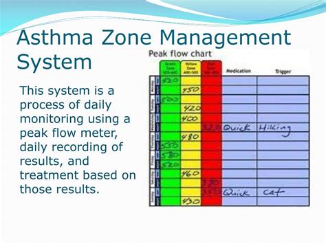 Peak Flow Meter Zones For Adults at Jimmie White blog