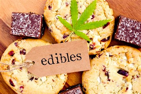 MarijuanaDoctor.com’s Guide To Marijuana Edibles In Florida: Everything You Need To Know ...