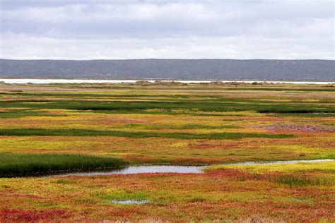 African Landscape with Water Photograph by Deborah Hall Barry - Fine Art America