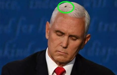 Mike Pence Fly Costume - Dress Like That