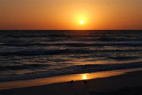 Seaside sunset Free Photo Download | FreeImages