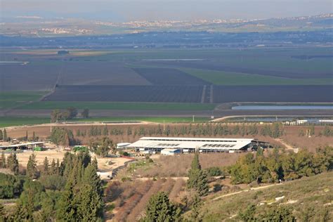 DairyGlobal - Cows at the kibbutz is purely a production asset