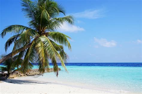 Top Asian Beach Destinations that should be On Your Travel List - Top Dreamer