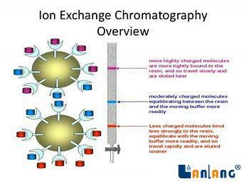 Ion exchange chromatography resin, what is it? - FAQ - Taiyuan Lanlang ...