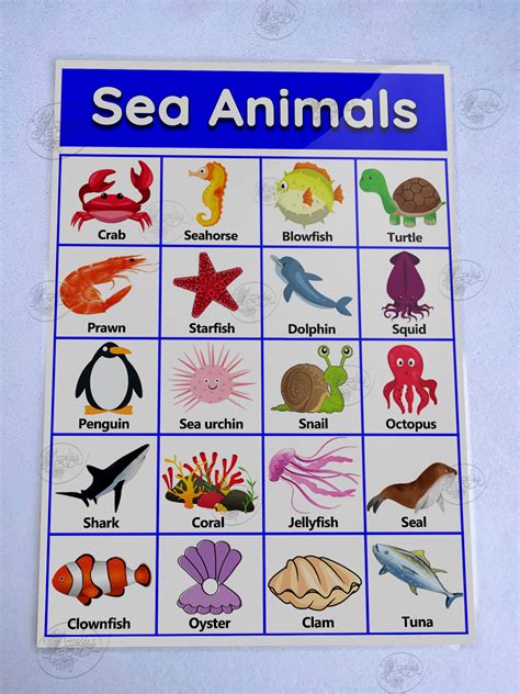 Sea Animals Laminated Educational Chart A4 Mga Hayop Sa Dagat Wall ...