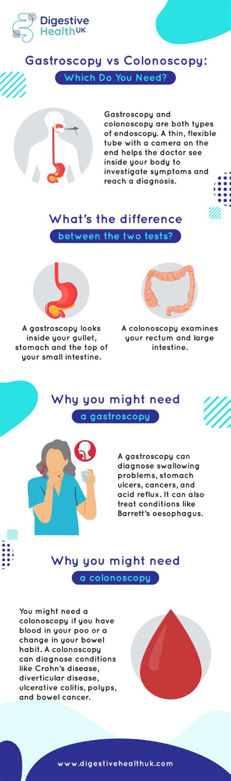 Gastroscopy vs Colonoscopy: Which Do You Need? | Digestive Health UK