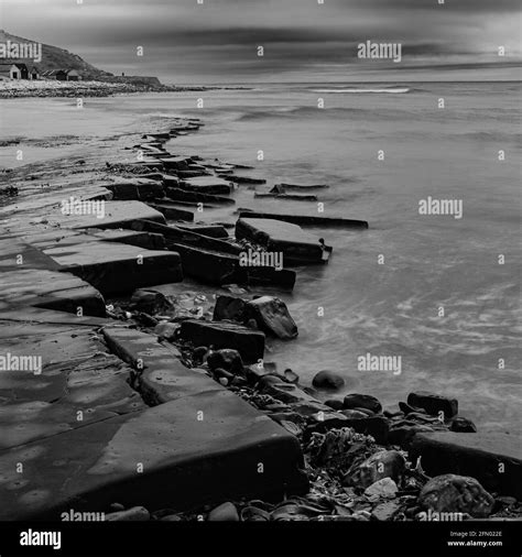 Kimmeridge Bay fossil hunting, Dorset, UK Stock Photo - Alamy