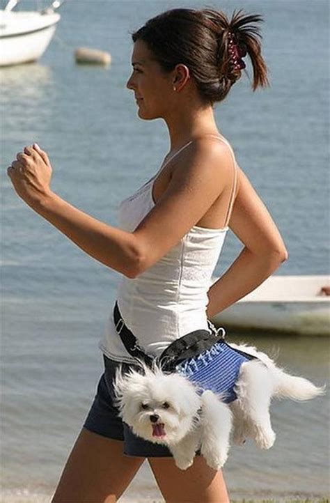 Walking the dog?? | Dogs, Puppy purse, Funny dogs