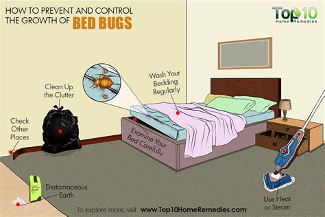 How to Prevent and Control a Bed Bug Infestation | Top 10 Home Remedies