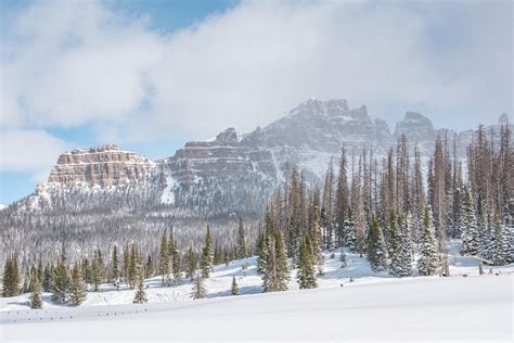 Magic of Winter in Yellowstone | Sunrise Tours