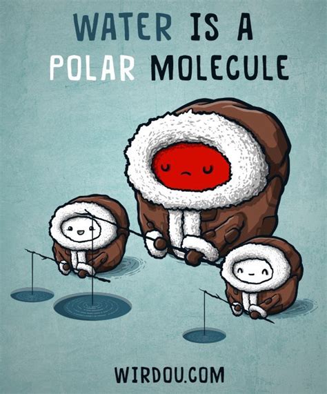 Water is a polar molecule. | Biology humor, Biology jokes, Chemistry humor