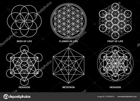 Sacred Geometry Flower Life Seed Life Egg Life Metatron's Cube Stock ...