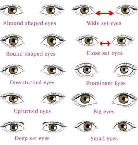 Different Types of Eye Shapes: Which One you have?