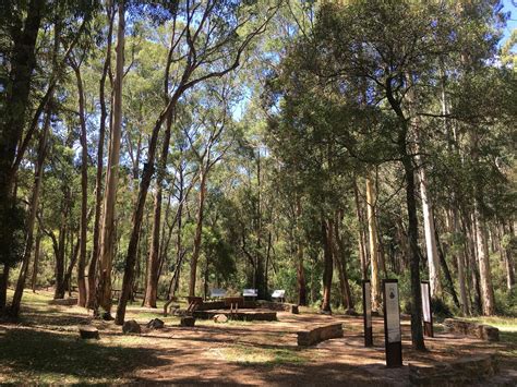 Stringybark Historical Reserve - Victoria's High Country