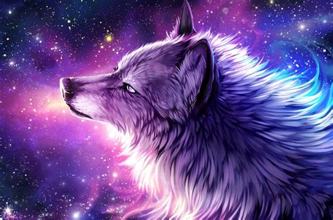 Tier Wallpaper, Cat Wallpaper, Animal Wallpaper, Galaxy Wallpaper, Galaxy Wolf, Galaxy Art ...