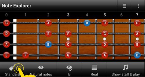 How to edit or delete the bass guitar tuning | Punktum Soft