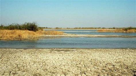 Luni, the Indian river with saline water that doesn’t drain into any ...