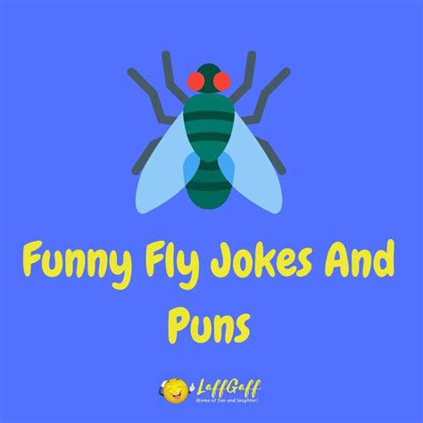 21 Fantastic Fly Jokes And Puns That Will Create A Buzz!