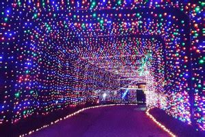 Loudon Christmas Lights 2021