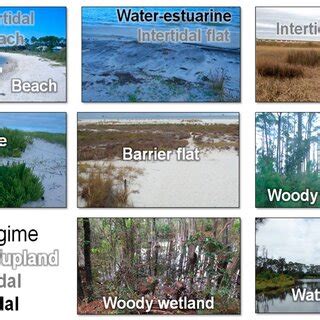 Modeling domain and the extent of baseline mapping data for habitat... | Download Scientific Diagram