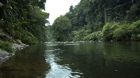 Water river in the nature park | Stock Video | Pond5