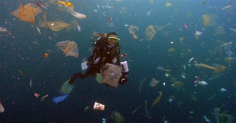 The Great Pacific Garbage Patch: Cleaning up the plastic in the ocean ...