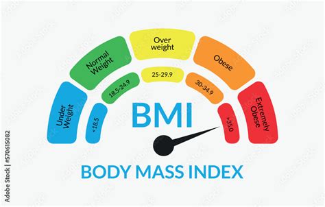 Body Mass Index Infographic Chart. Colorful BMI Chart Vector ...