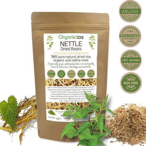 Wild Nettle Root Tea Loose Dried Organic Premium Quality many Health Benefits | eBay