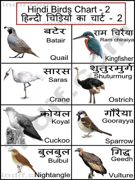 Different animal names in sanskrit | Up Forever