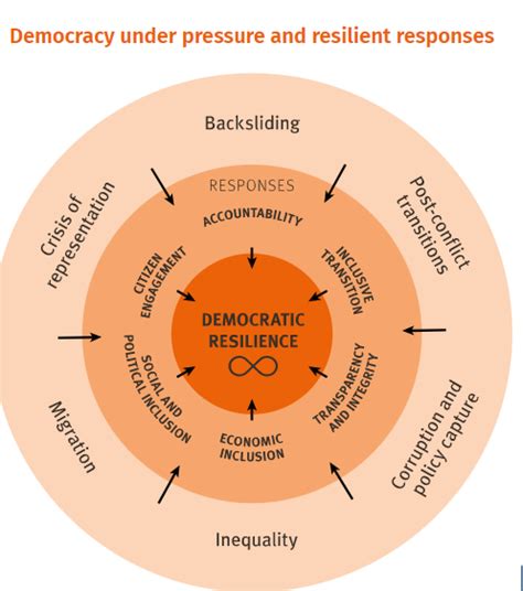 Strengthen institutions to reinforce democratic resilience - Democracy Digest