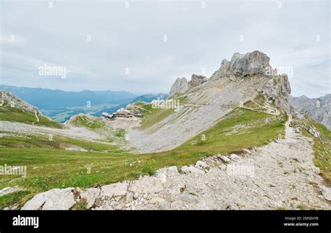 Alpenschneehuhn Lebensraum, Lagopus muta, Rock Ptarmigan habitat Stock ...