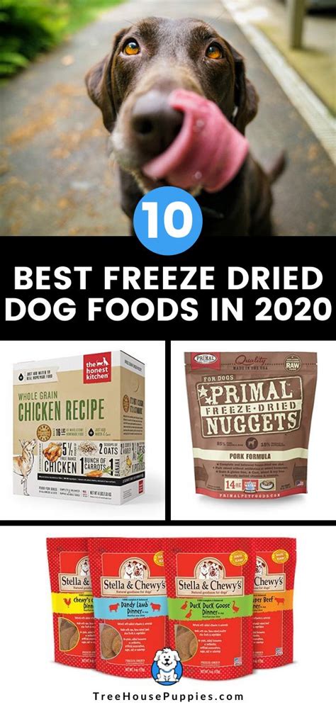 10 Best Freeze Dried Dog Foods (2020 Review) – THP in 2020 | Freeze dried dog food, Dog food ...