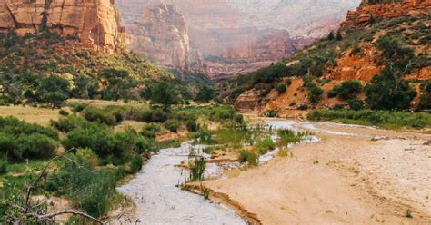 Watchman Campground, Zion, UT: 41 Hipcamper Reviews And 106 Photos