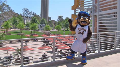UC Riverside Highlanders mascot, Scotty the Bear. Highlanders, Riverside, Mascot, College, West ...
