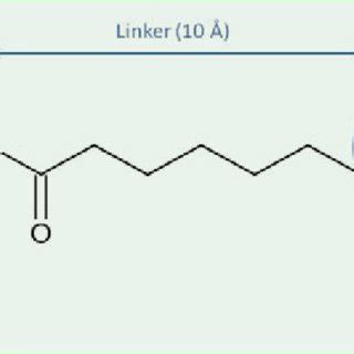 The chemical structure of vorinostat (SAHA). Pharmacophore of HDAC... | Download Scientific Diagram