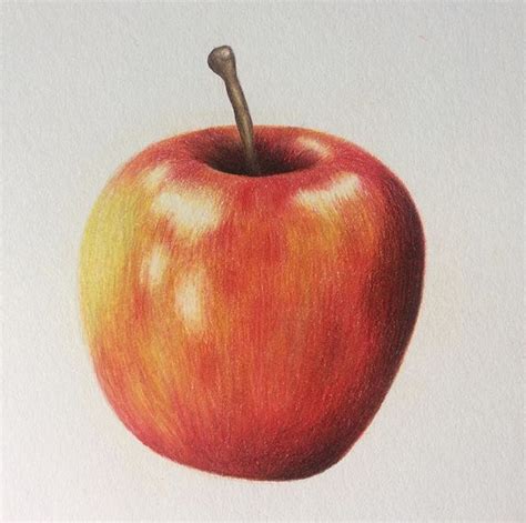 Apple Drawing by Victoria D | Artmajeur