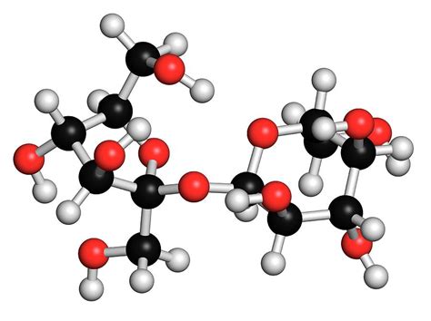 Sucrose Sugar Molecule Photograph by Molekuul