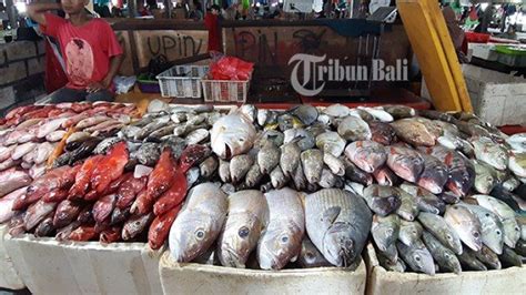 Menelusuri Pasar Ikan Kedonganan, Pasar Tradisional di Bali yang Bisa ...