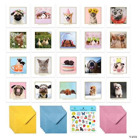 Cute Animal Birthday Cards Multipack - 20 Pack Assortment - For Men Women Boys Girls Him Her ...