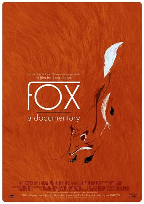 Fox A Documentary By Juno Jakob - Review