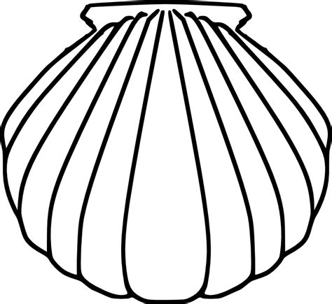 Scallop Seashell Pilgrimage Oyster Clip art - peace dove png download ...