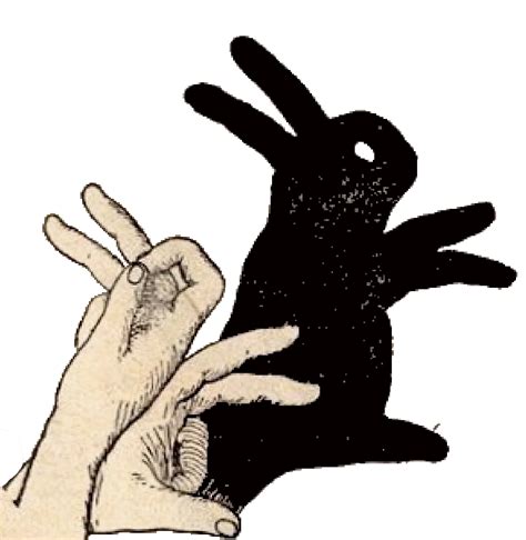 Shadow Puppet | Hand shadows, Shadow puppets, Shadow puppets with hands