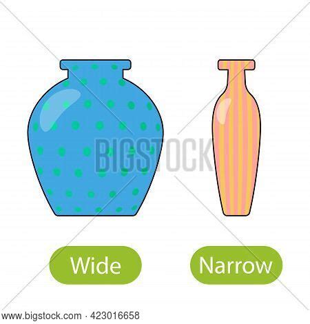 Wide Narrow Vase. Vector & Photo (Free Trial) | Bigstock