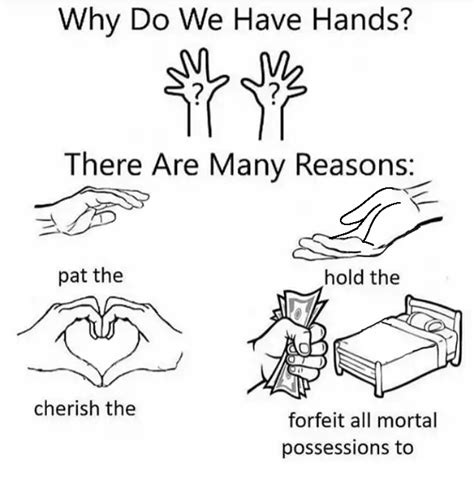 Why do we have hands? (all blank) Memes - Imgflip