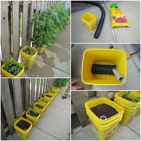 Self Watering Container Garden | Diy self watering planter, Self ...
