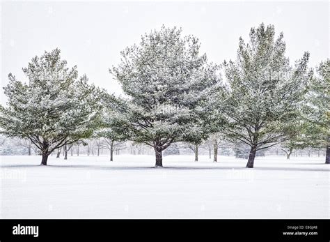 Winter landscape, Fishers, Indiana, United States Stock Photo - Alamy