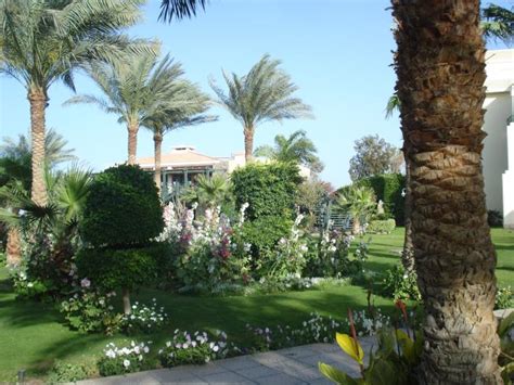 Hilton Hurghada Resort - Hurghada