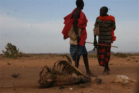 Ravaging drought in Marsabit claims two people, hundreds in dire need of food | Nation